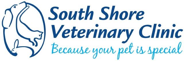 South Shore Veterinary Clinic 